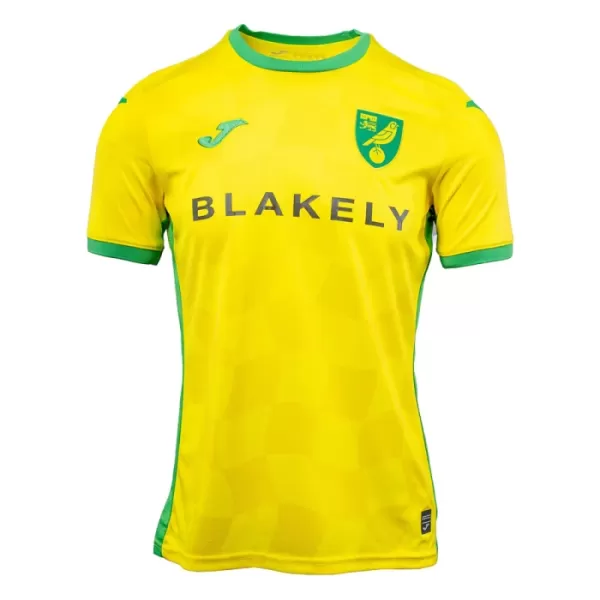 Camisola Norwich City Homem Equipamento 1ª 2024/25