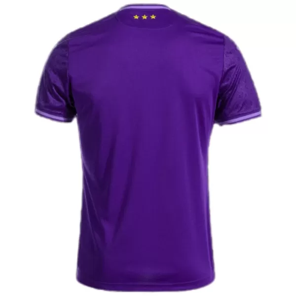 Camisola RSC Anderlecht Homem Equipamento 1ª 2024/25