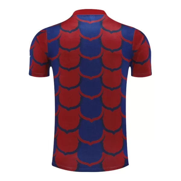 Camisola Barcelona Pre-Match Homem 2024/25