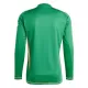 Camisola Guarda-Redes Aston Villa Homem 2024/25 Verde Manga Comprida