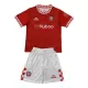 Camisola Bristol City Criança Equipamento 1ª 2024/25