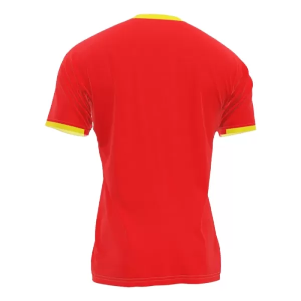 Camisola Guinea Homem Equipamento 1ª 2024